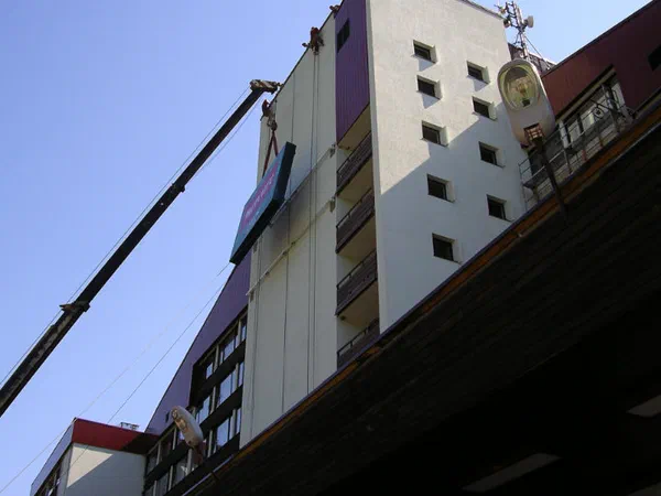 51363e568408e.jpg
